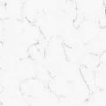 Carrara White Quartz