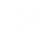 Pure White Sintera Silica-Free Quartz Pandora Mt Co.,ltd -Quarz Manufacturer Vietnam