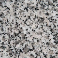 Pearl White Granite - Pandora Mt Co.,ltd -Quarz Manufacturer Vietnam